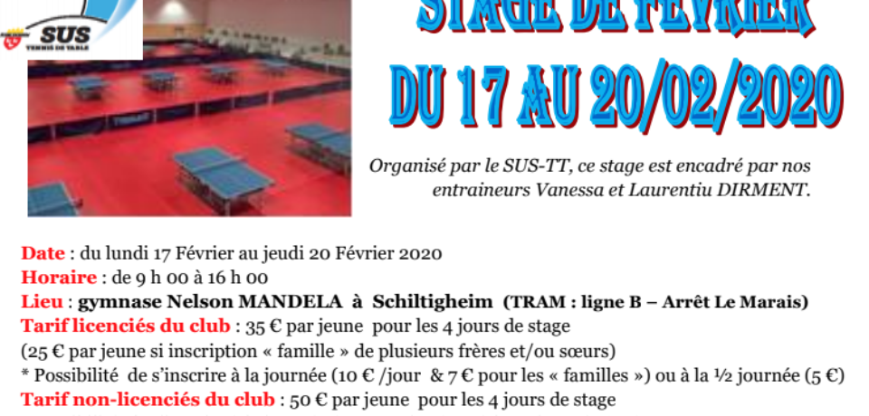 Stage Fev2020