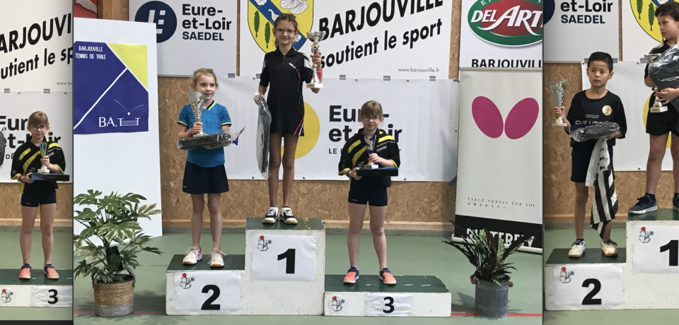minicoms Barjouville